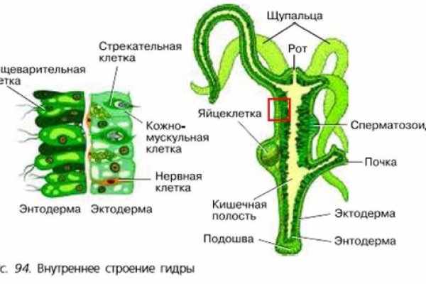 Как найти сайт кракен