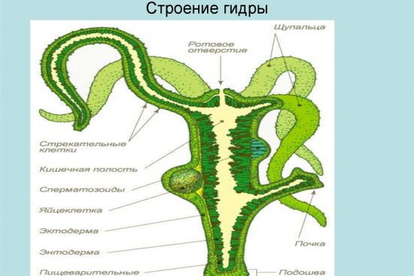 Ссылка в магазин на кракен